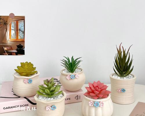什么的花盆适合多肉植物？选择花盆的要点是什么？