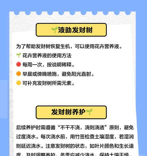 发财树浇水需要注意什么？