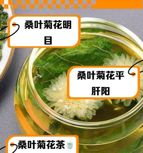 菊花养殖有哪些技巧？如何保持菊花花开不断？