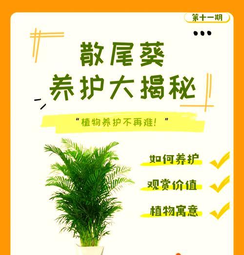 散尾葵叶尖发黄的解决方法有哪些？