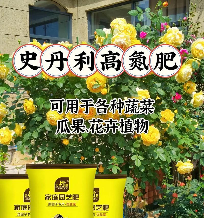 花卉追肥应该使用哪种肥料？