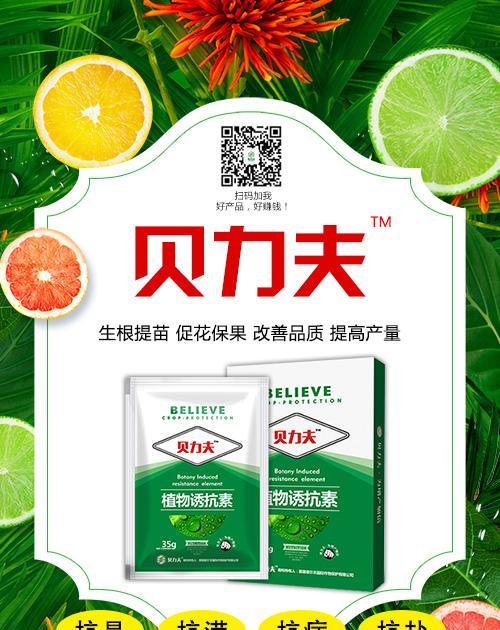 昙花叶子萎蔫的原因及解决方法？