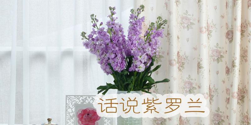 切花哪种品种最好？切花品种选择的技巧是什么？