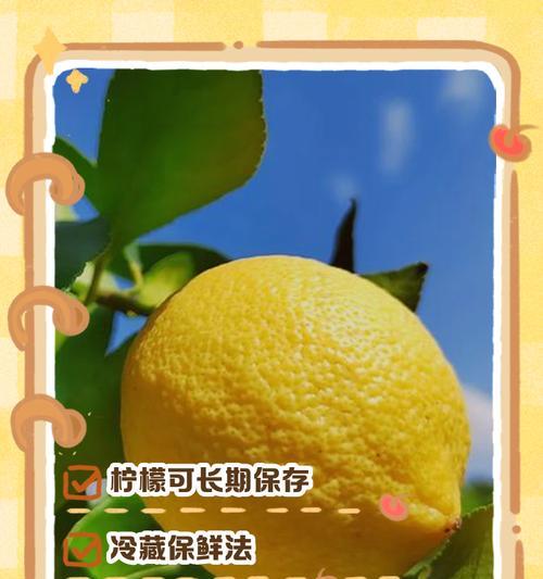 柠檬剪枝的最佳时机是什么时候？