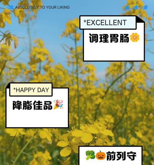 油菜花有哪些作用？它们的经济价值和观赏价值是什么？