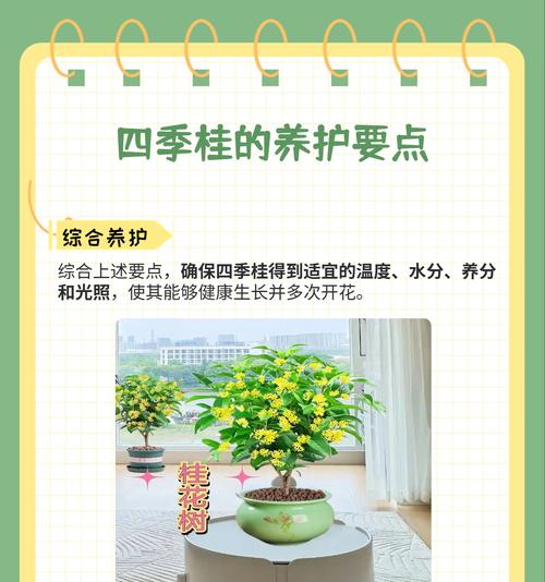 四季桂不开花怎么办？