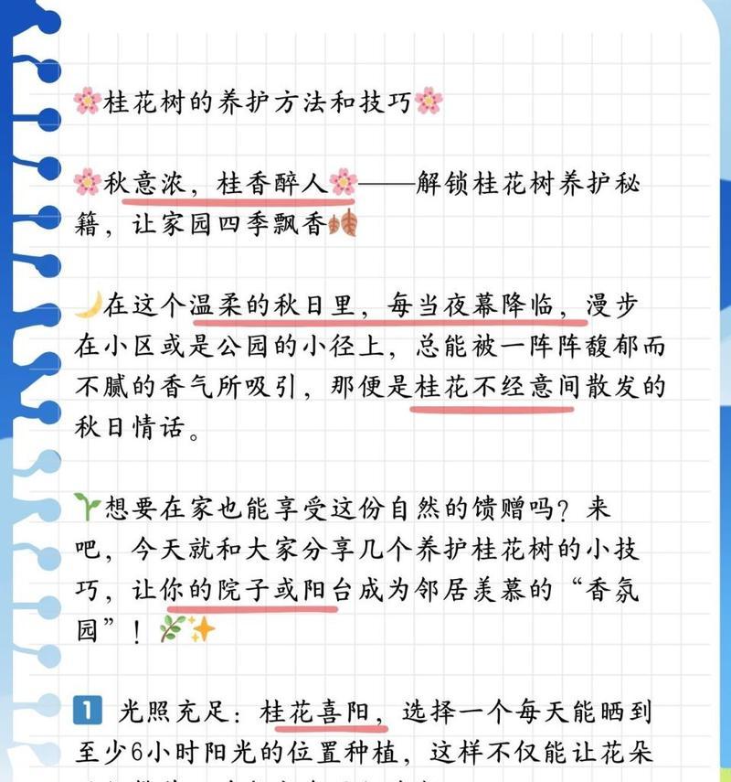 桂花树养殖的技巧和常见问题解答？