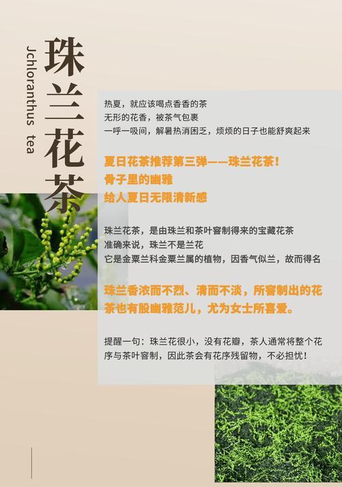 珠兰的养护方法是什么？怎样才能让珠兰花开得更美？