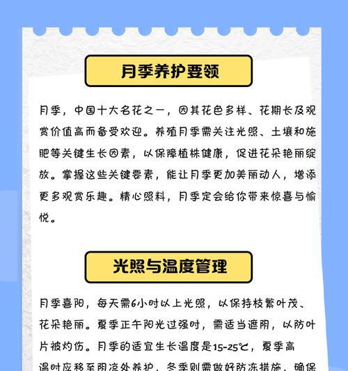 大月季花的养植方法是什么？需要注意什么？