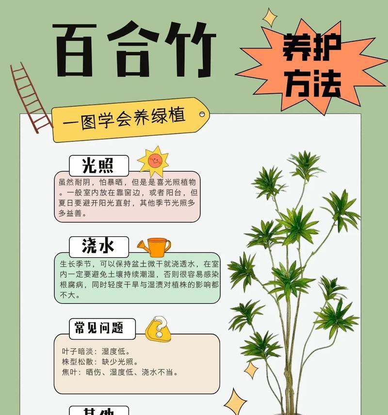 金百合竹的养殖技巧和注意事项有哪些？