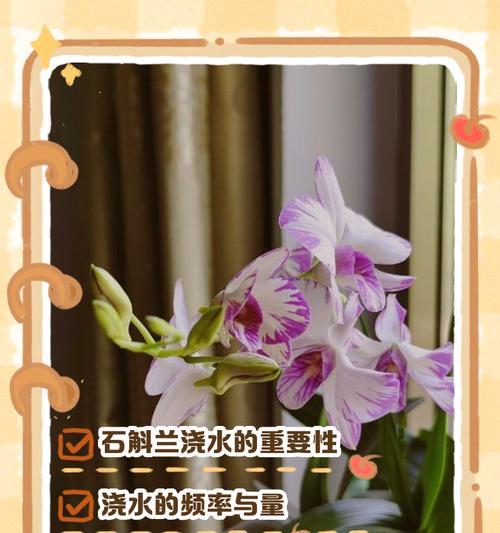植物浇水的正确方法和注意事项是什么？