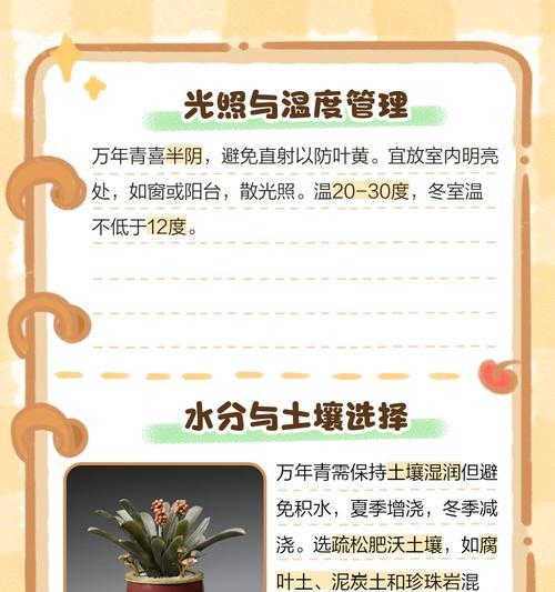 万年青的正确养殖方法是什么？如何避免叶子发黄？