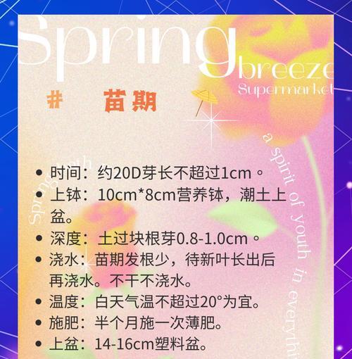 花毛茛种子的种植步骤和技巧是什么？