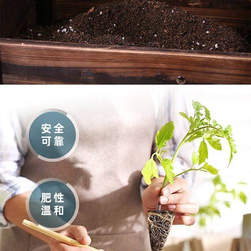 盆栽植物适合使用哪种土壤？
