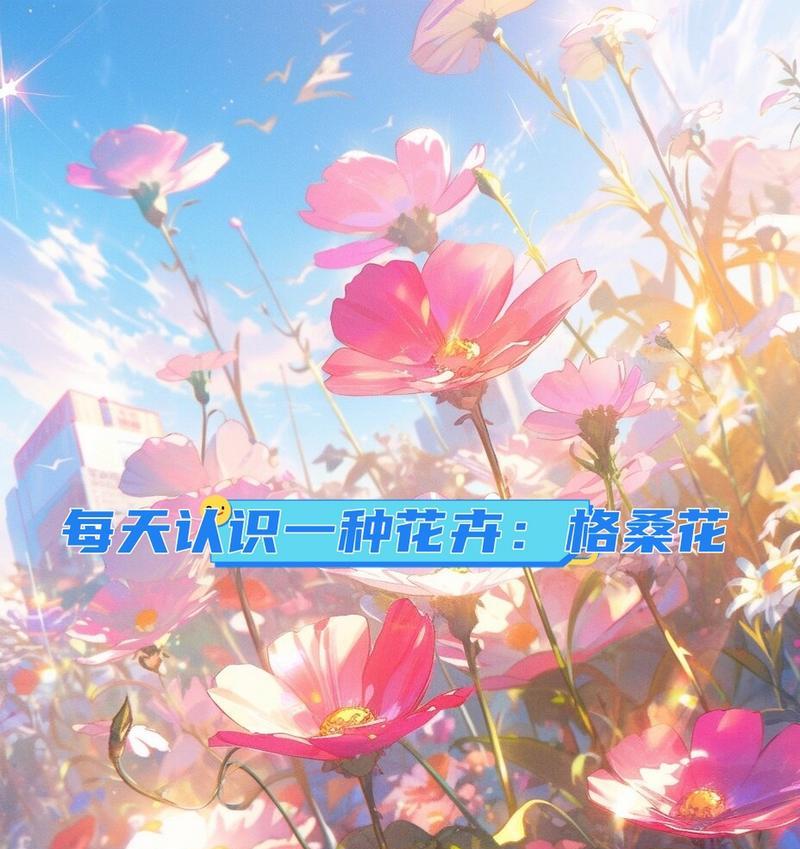 格桑花品种有哪些？如何选择和种植格桑花品种？