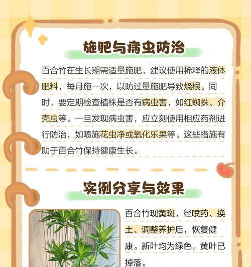 百合叶子黄了是什么原因？如何处理？