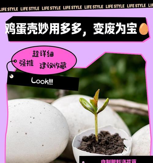 蛋壳作为肥料的使用方法是什么？如何利用蛋壳促进植物生长？
