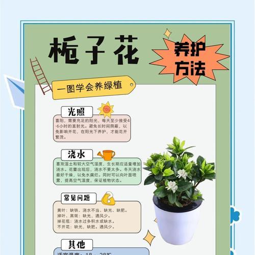 栀子花繁殖的有效方法有哪些？