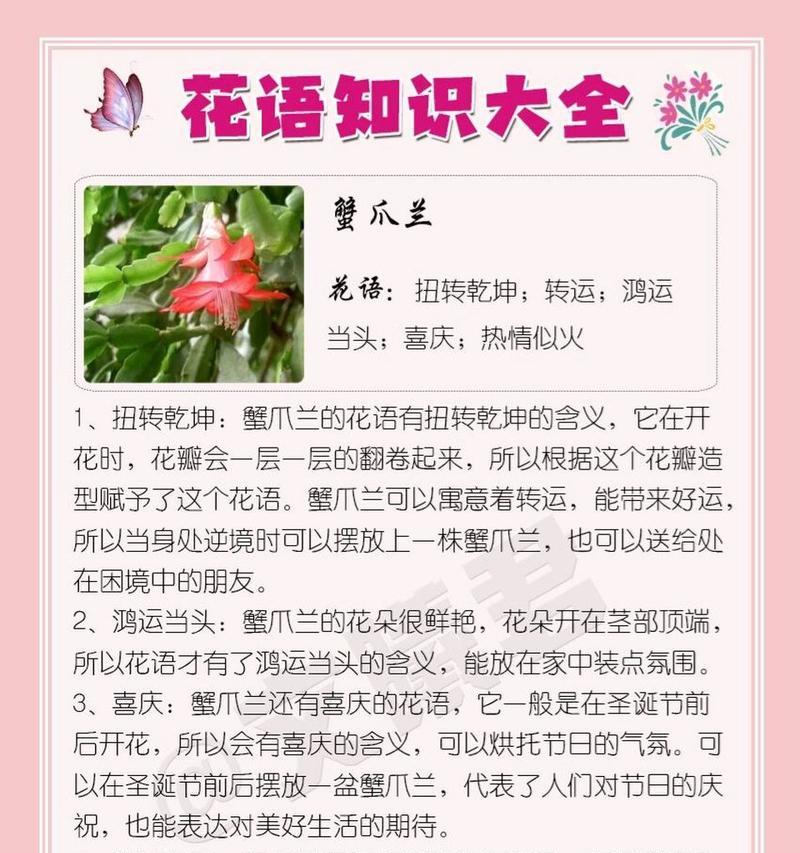 蟹爪兰的最佳种植时间是什么时候？蟹爪兰种植的步骤？