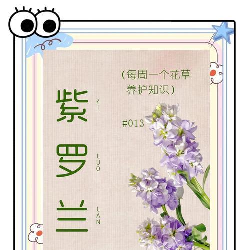 紫罗兰的养殖技巧和常见问题解答？