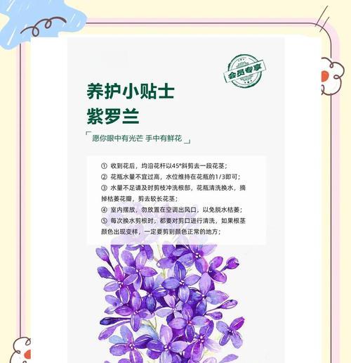 紫罗兰的养殖技巧和常见问题解答？