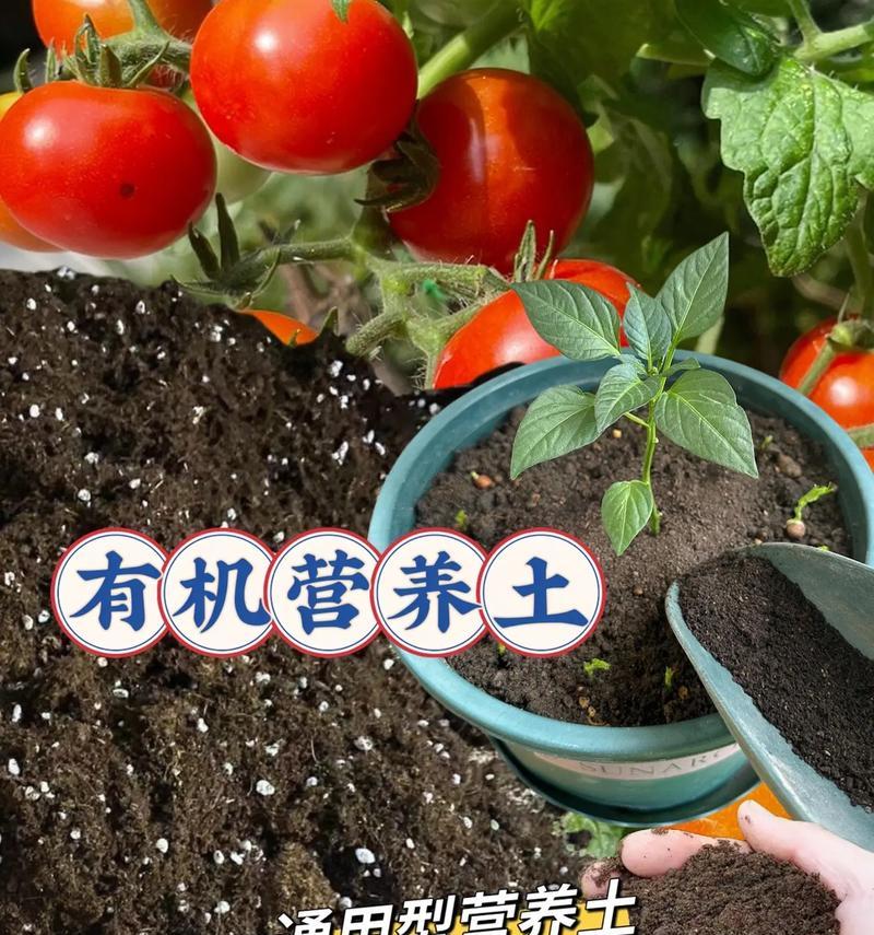 配制营养土的正确比例是什么？