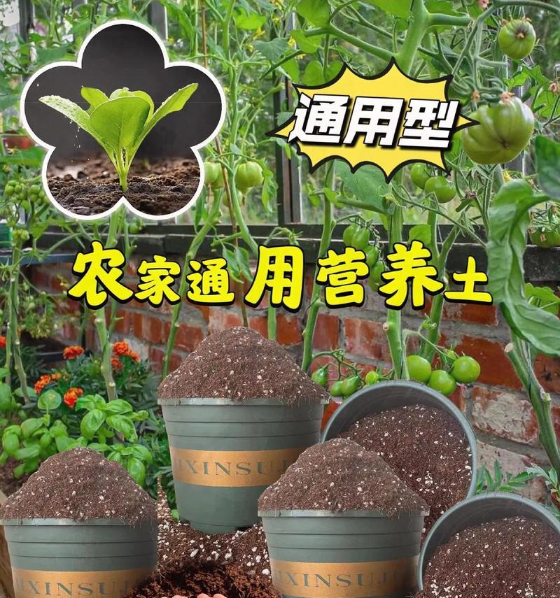 配制营养土的正确比例是什么？