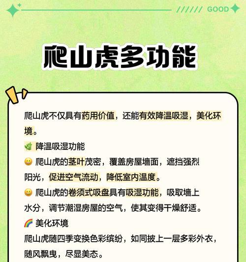 爬山虎的怎么种植？爬山虎的种植步骤是什么？
