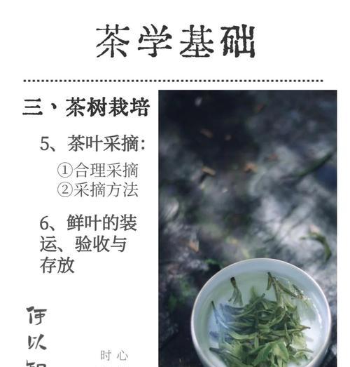 植物摘叶的正确方法是什么？摘叶有哪些常见问题？