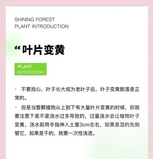 植物摘叶的正确方法是什么？摘叶有哪些常见问题？