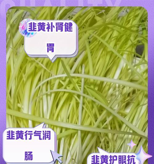 韭兰叶子发黄的解决方法有哪些？