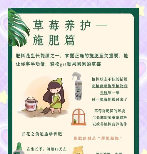 盆栽草莓养殖方法是什么？