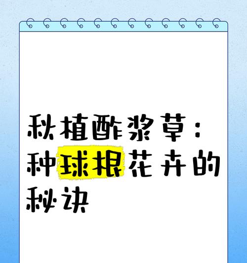 花卉快速生长的秘诀是什么？