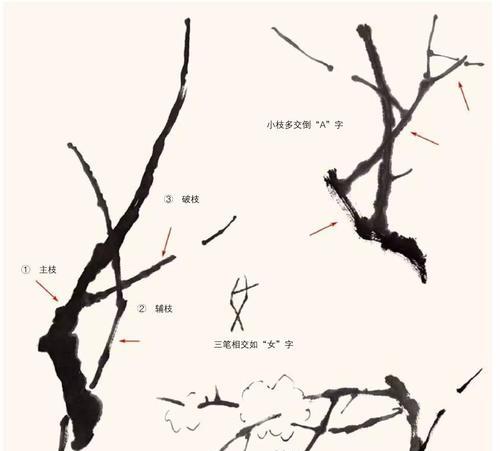 梅花种植的步骤是什么？梅花种植有哪些常见问题？