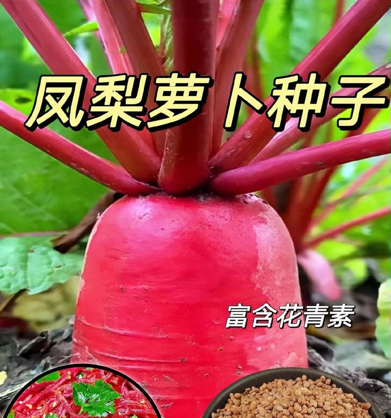 水果植物有哪些？如何在家中种植水果植物？