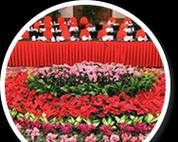 花卉租摆业务如何开展？