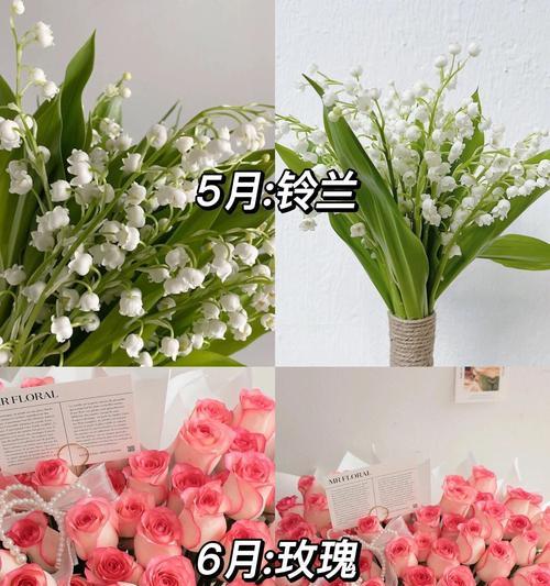 生日送花选择指南有哪些？
