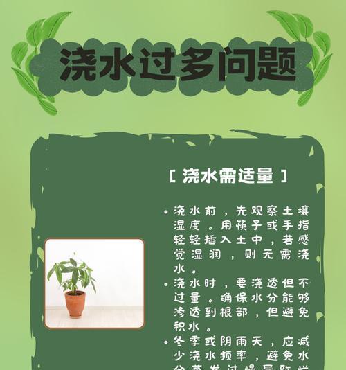 发财树叶子发黄的原因是什么？如何解决？