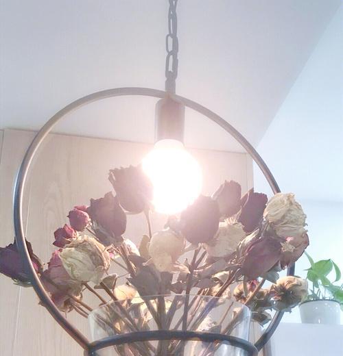 适合制作干花的花卉有哪些？干花制作与保存技巧是什么？