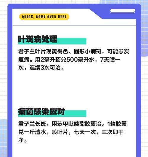 君子兰黄叶子怎么处理？预防与治疗措施是什么？