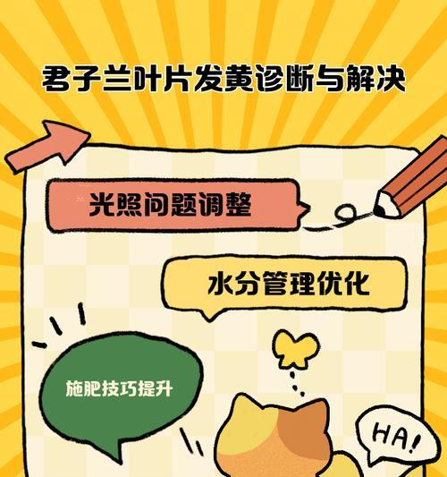 君子兰黄叶子怎么处理？预防与治疗措施是什么？