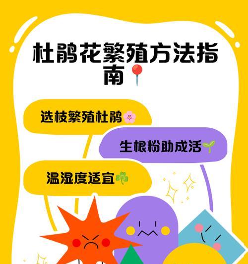 杜鹃花嫁接的正确方法是什么？