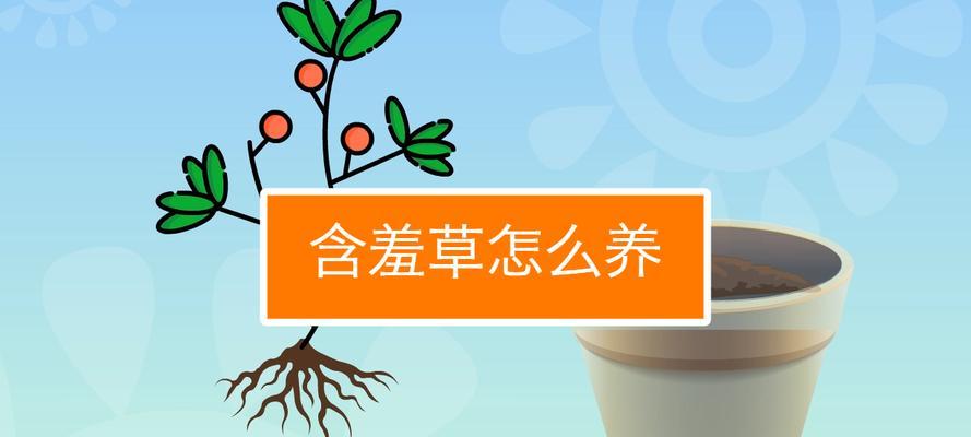 含羞草繁殖方法有哪些？