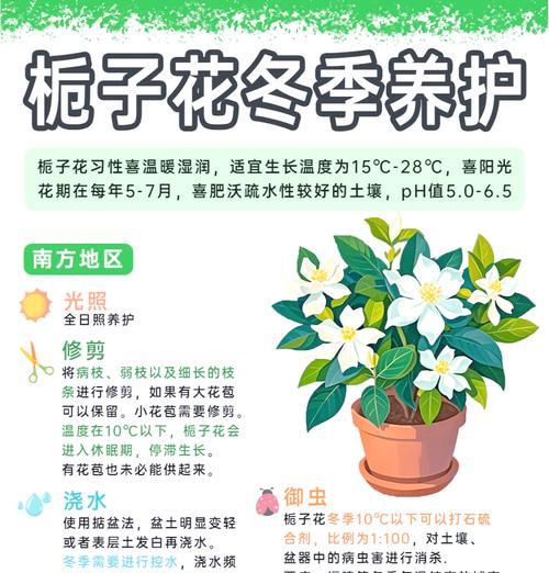 牡丹栀子花的养殖技巧和常见问题？