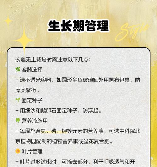 碗莲的最佳种植时间是什么时候？种植碗莲有哪些注意事项？