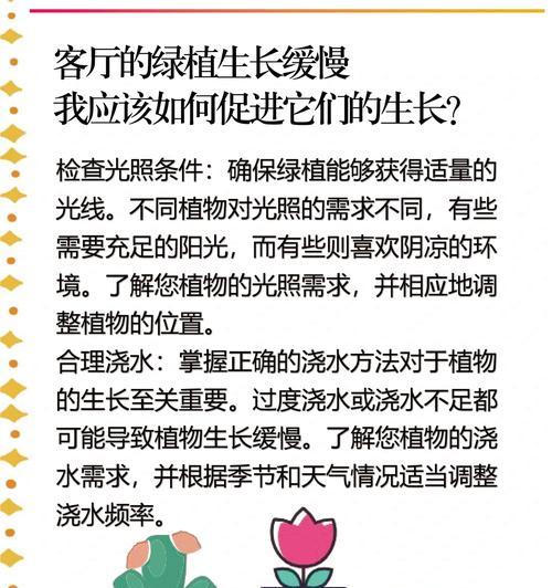 哪些绿植可以在无阳光环境下生长？如何正确养护？