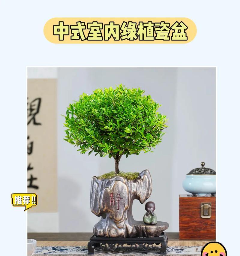 室内盆栽枯萎了怎么办？如何挽救你的绿植？