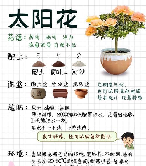鸡蛋花种子种植技巧有哪些？