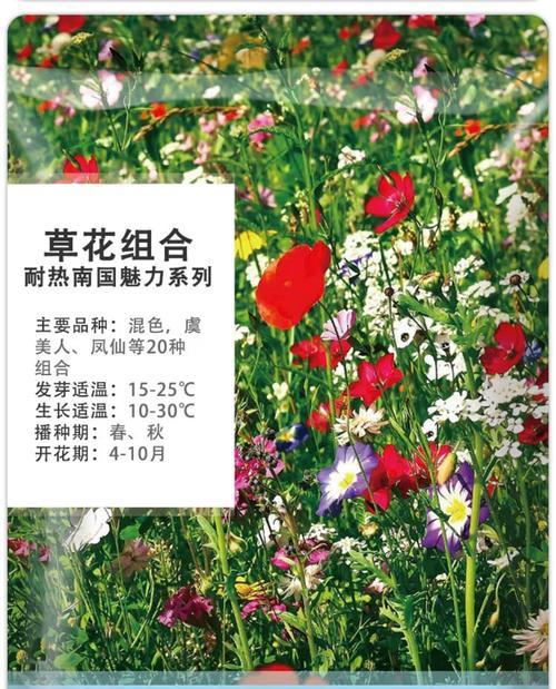 一年生草花品种有哪些？如何选择适合的品种？