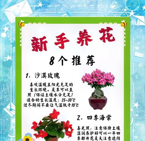 盆栽花卉的正确方法和注意事项有哪些？